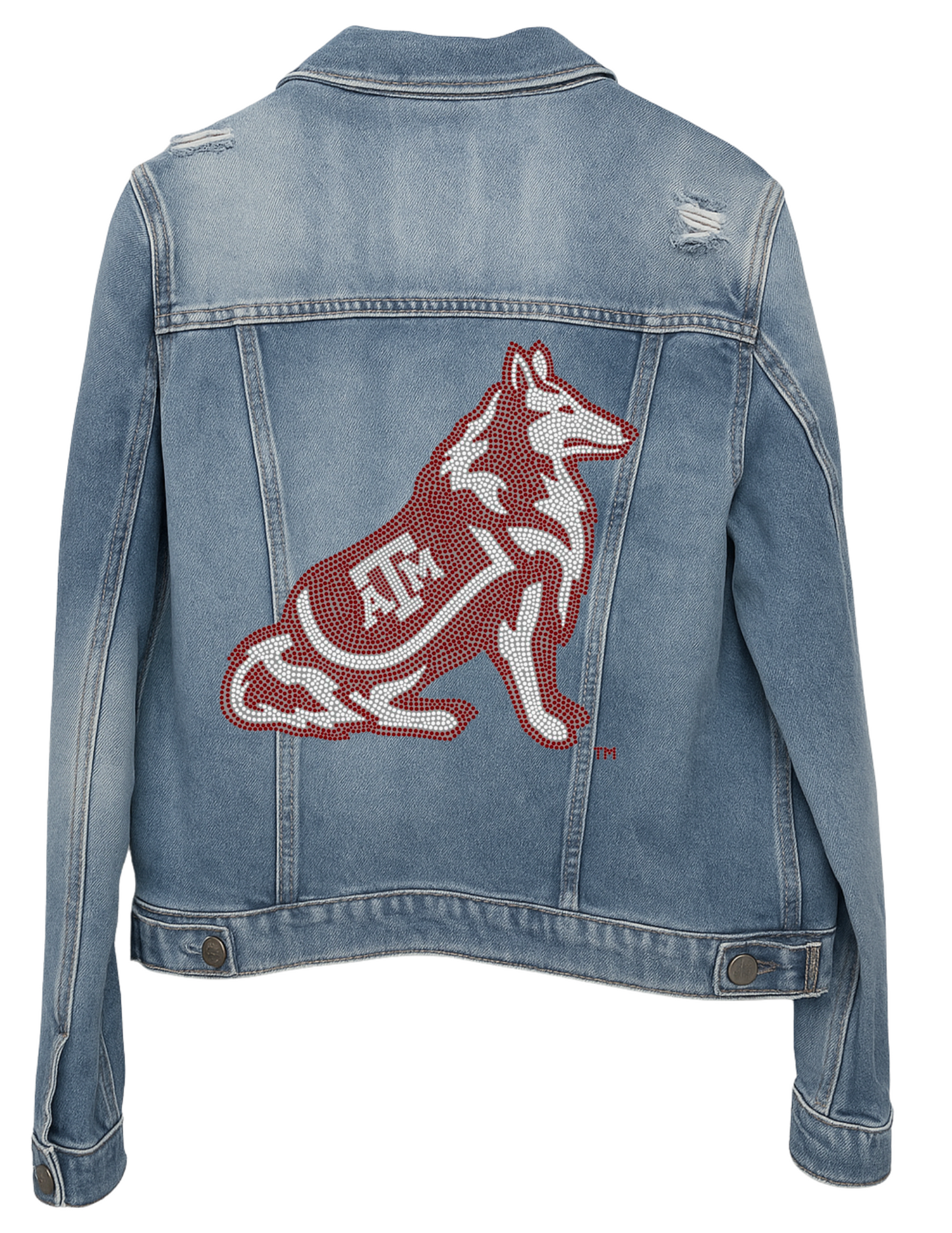 Licensed Game Day Denim, Medium Wash, Texas A&M Reveille