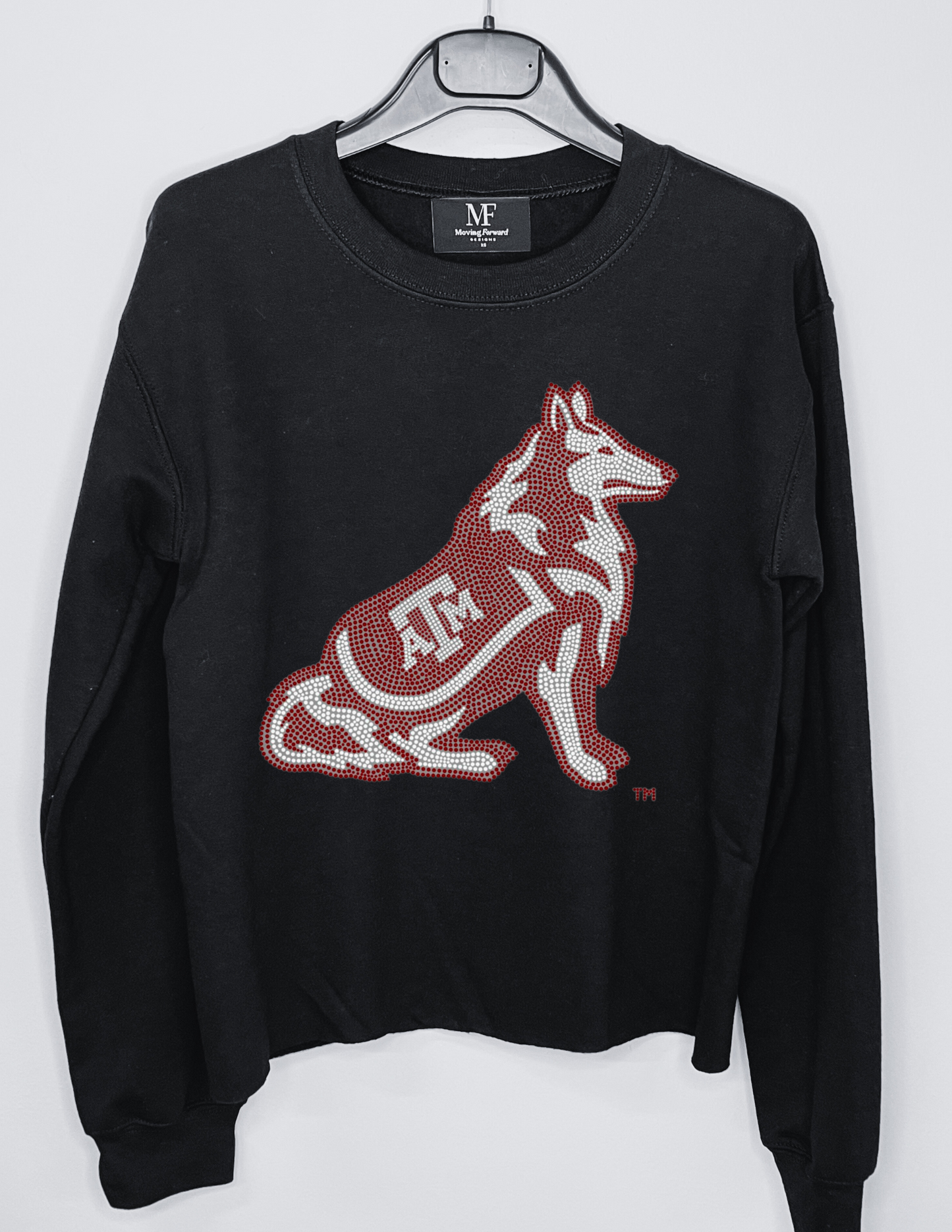 Licensed Game Day Sweatshirt, Black, Texas A&M Reveille