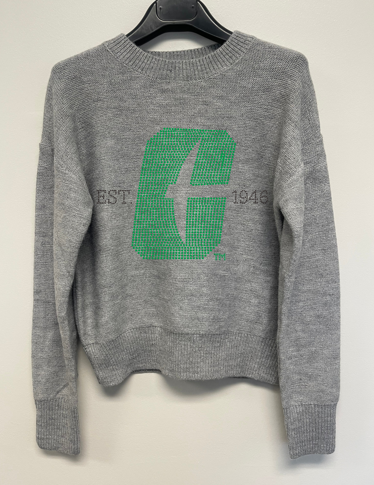 Licensed Game Day Sweater, Gray, Univ of N Carolina Charlotte Est 1946