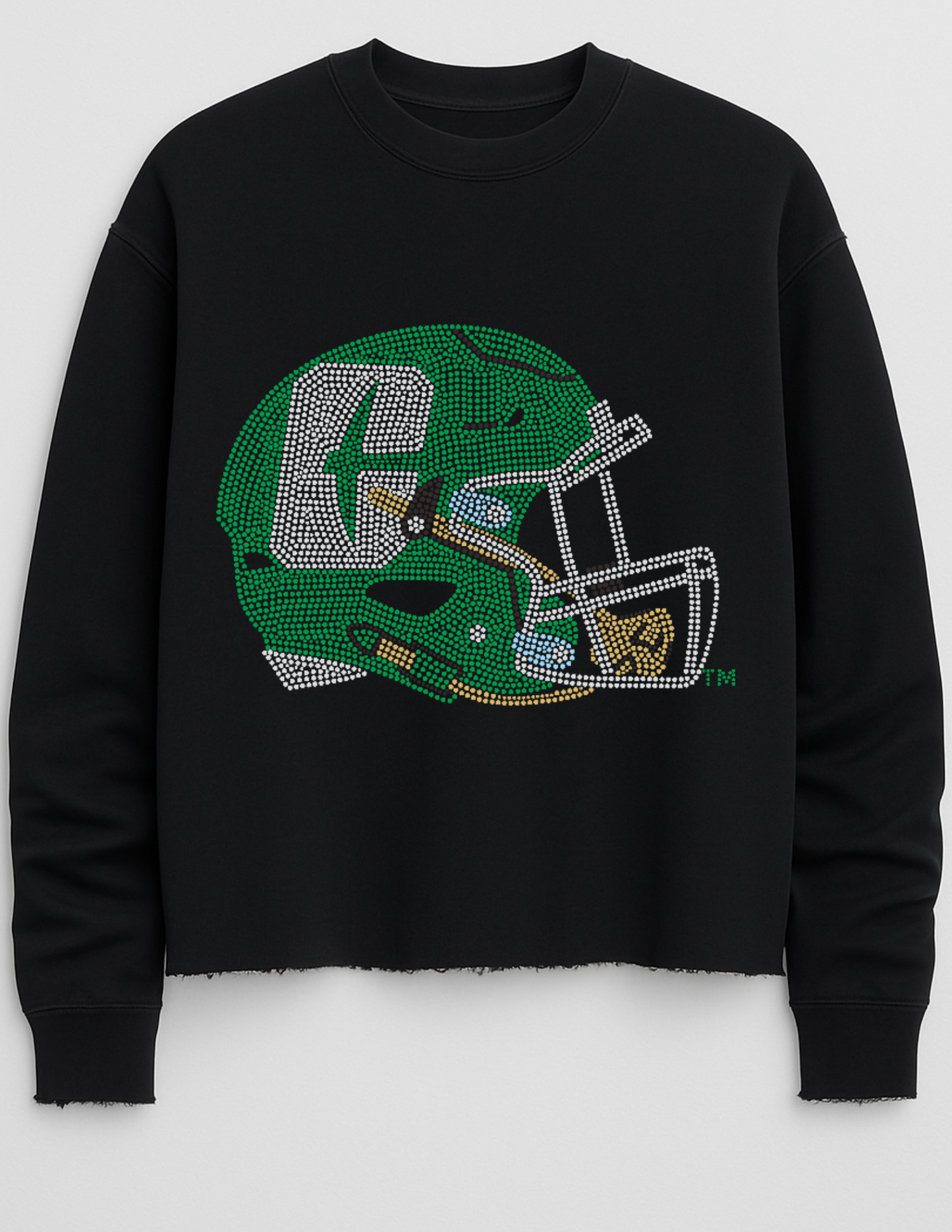 Licensed Game Day Sweatshirt, Black, Univ of N Carolina Charlotte Helmet