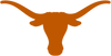 UNIVERSITY OF TEXAS AT AUSTIN