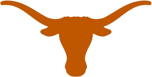 UNIVERSITY OF TEXAS AT AUSTIN