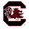 UNIVERSITY OF SOUTH CAROLINA