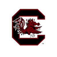 UNIVERSITY OF SOUTH CAROLINA