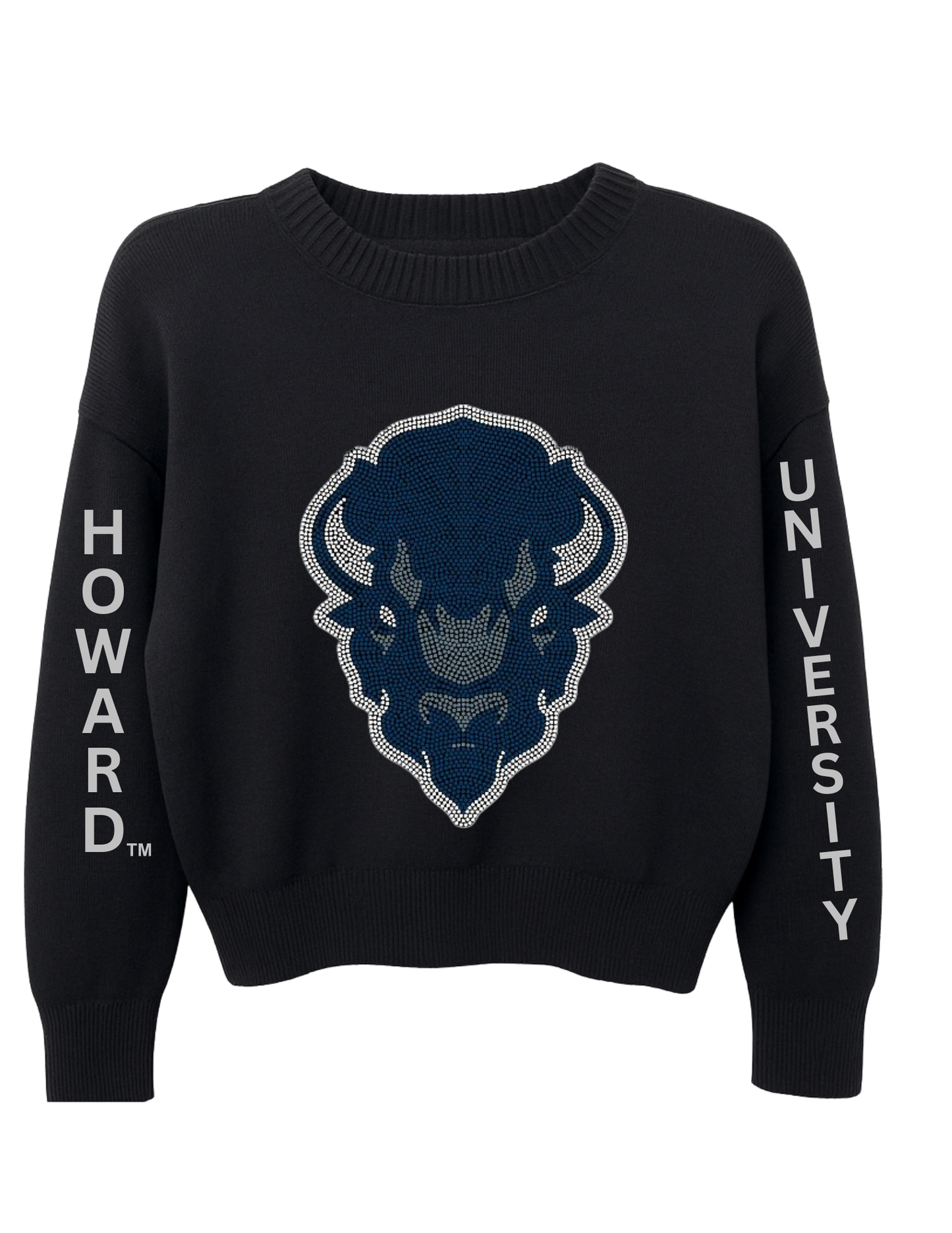 Licensed Game Day Sweater, Crewneck Black, Howard University Bison