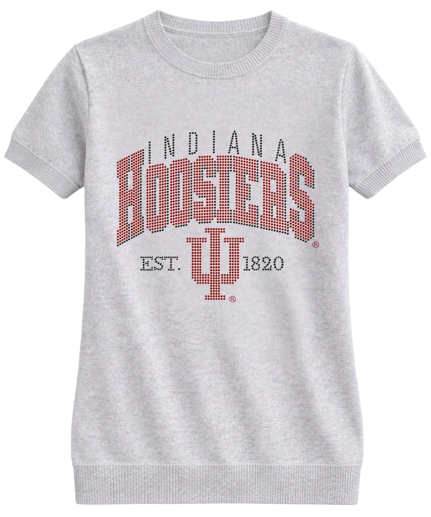 Indiana University EST. 1820 Gray Sweater