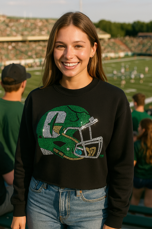 Licensed Game Day Sweatshirt, Black, Univ of N Carolina Charlotte Helmet
